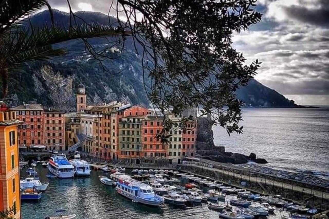 Rosablu Vacanza Tra Mare E Parco Di Portofino Камогли Екстериор снимка