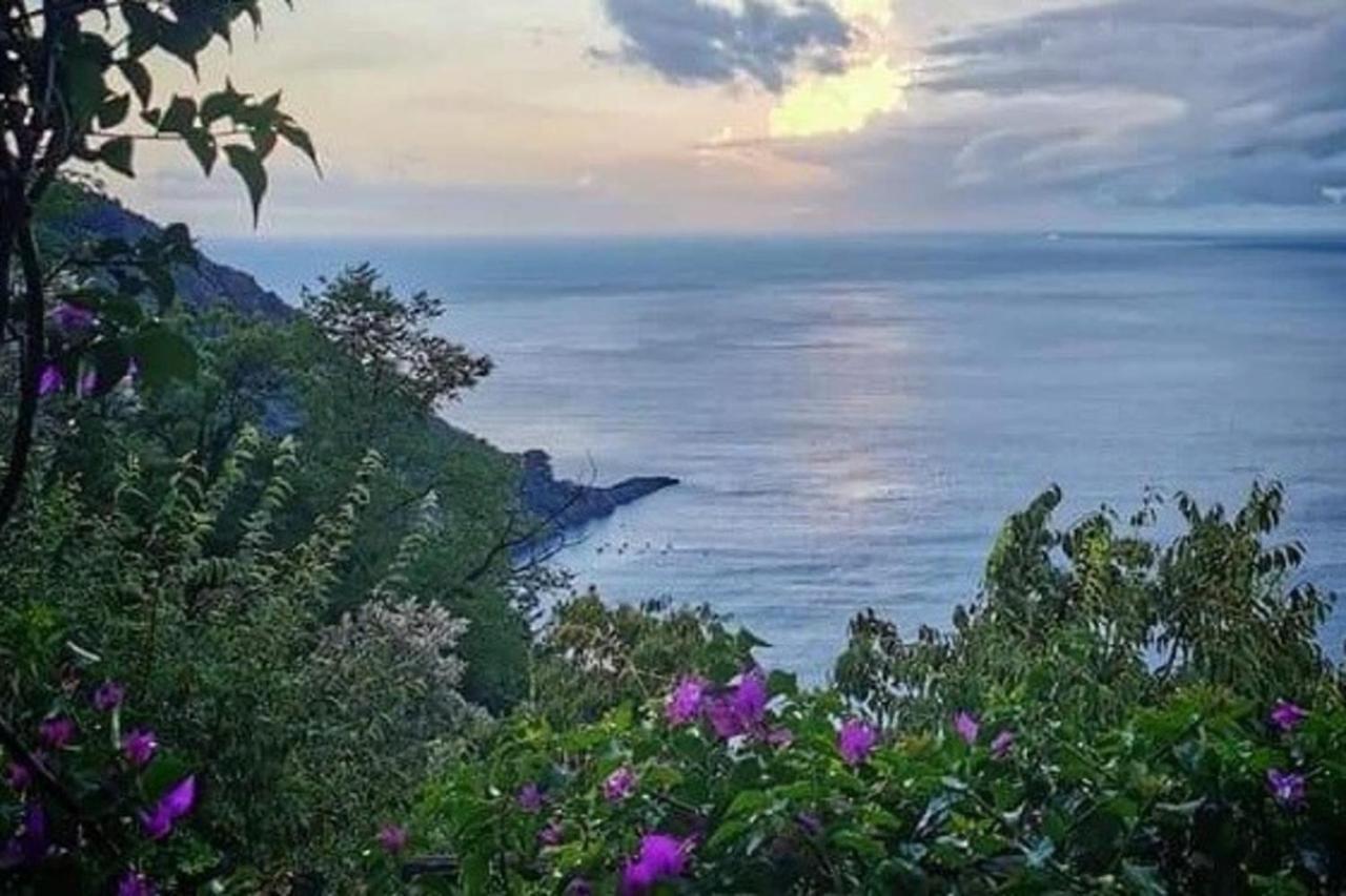 Rosablu Vacanza Tra Mare E Parco Di Portofino Камогли Екстериор снимка