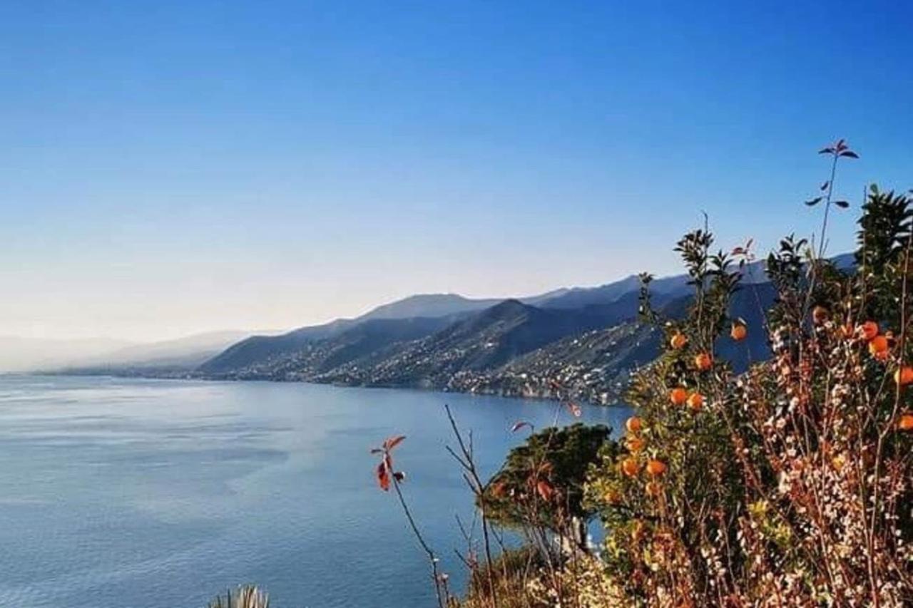 Rosablu Vacanza Tra Mare E Parco Di Portofino Камогли Екстериор снимка