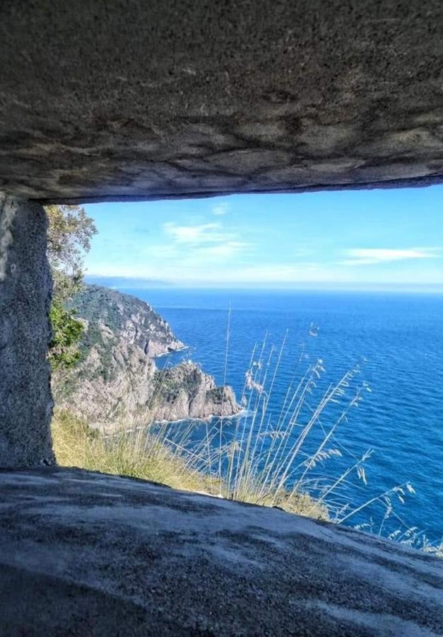 Rosablu Vacanza Tra Mare E Parco Di Portofino Камогли Екстериор снимка